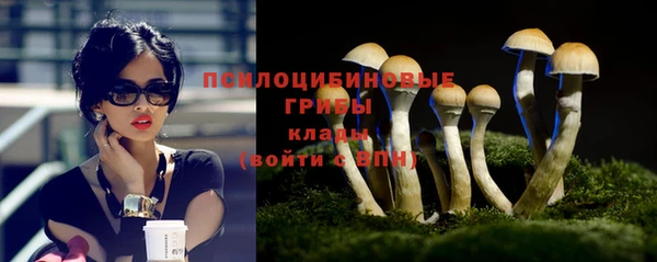мет Верхний Тагил