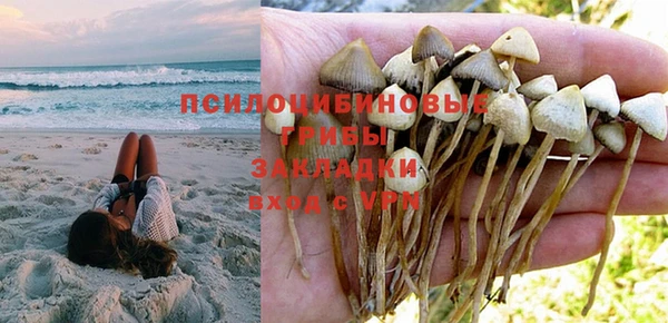 мет Верхний Тагил