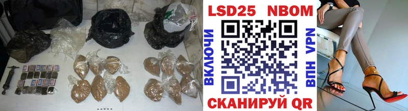 блэк спрут как зайти  Каменск-Шахтинский  Лсд 25 экстази кислота 